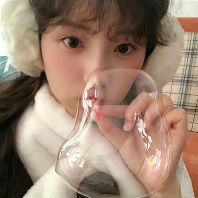 了解你的兔子